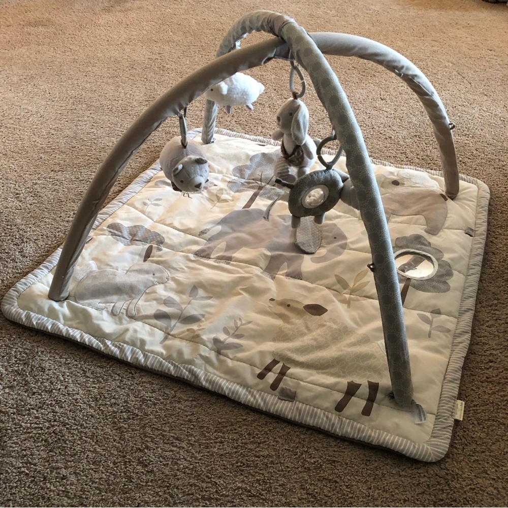 Pottery Barn Animal Friends Classic Infant Activity Gym